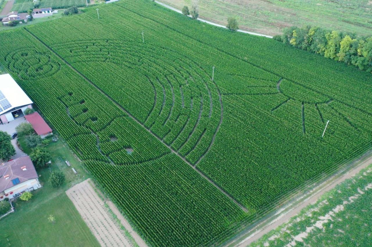 La Selce Farmhouse Bagnario Arsa Екстер'єр фото