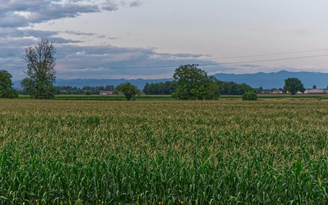 La Selce Farmhouse Bagnario Arsa Екстер'єр фото